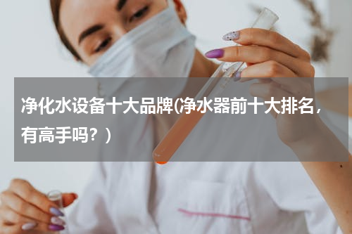 净化水设备十大品牌(净水器前十大排名，有高手吗？)