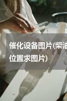 催化设备图片(柴油风骏5三元催化在什么位置求图片)