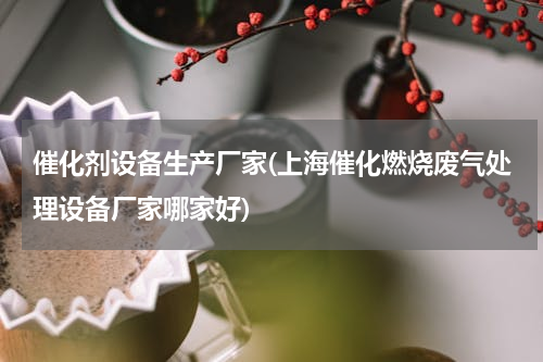 催化剂设备生产厂家(上海催化燃烧废气处理设备厂家哪家好)