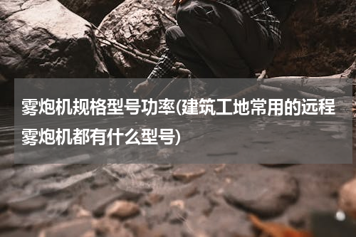 雾炮机规格型号功率(建筑工地常用的远程雾炮机都有什么型号)