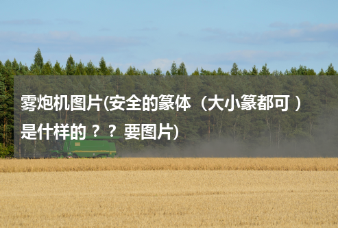 雾炮机图片(安全的篆体（大小篆都可 ）是什样的 ？？要图片)