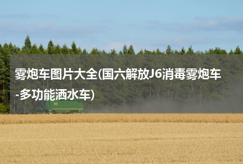 雾炮车图片大全(国六解放J6消毒雾炮车-多功能洒水车)