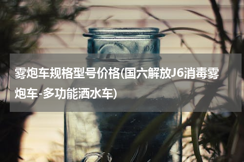 雾炮车规格型号价格(国六解放J6消毒雾炮车-多功能洒水车)