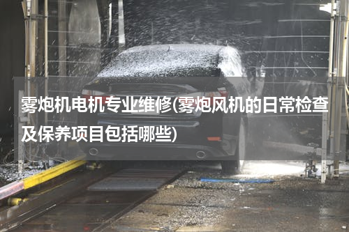 雾炮机电机专业维修(雾炮风机的日常检查及保养项目包括哪些)