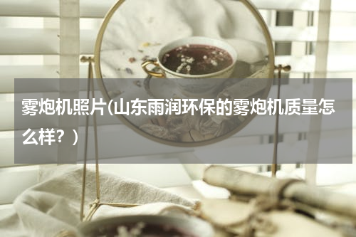 雾炮机照片(山东雨润环保的雾炮机质量怎么样？)