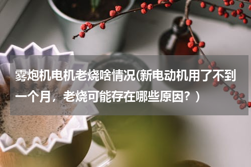 雾炮机电机老烧啥情况(新电动机用了不到一个月，老烧可能存在哪些原因？)