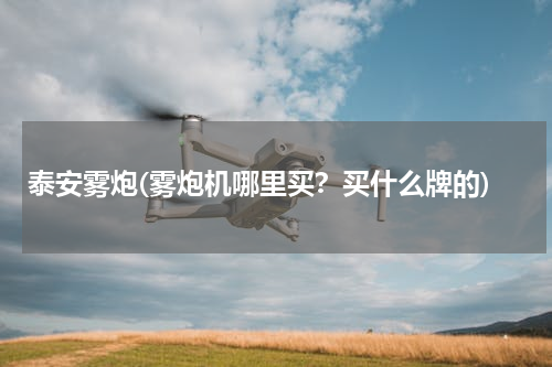 泰安雾炮(雾炮机哪里买？买什么牌的)