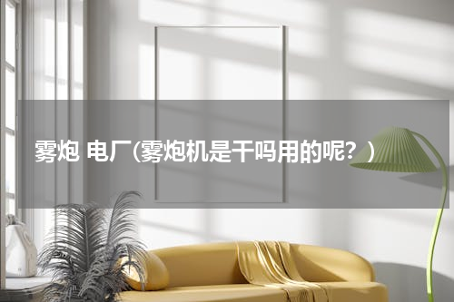雾炮 电厂(雾炮机是干吗用的呢？)