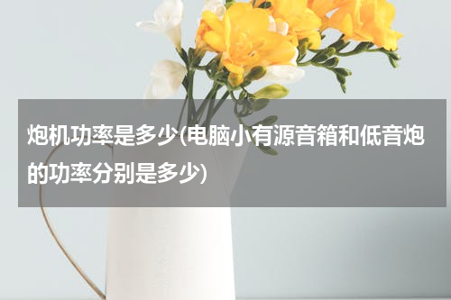 炮机功率是多少(电脑小有源音箱和低音炮的功率分别是多少)