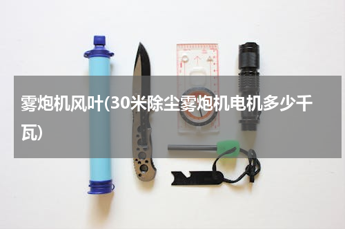 雾炮机风叶(30米除尘雾炮机电机多少千瓦)