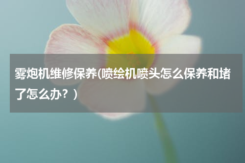 雾炮机维修保养(喷绘机喷头怎么保养和堵了怎么办？)