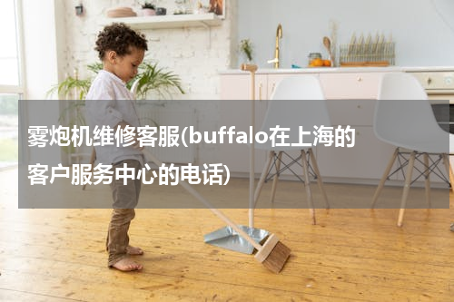 雾炮机维修客服(buffalo在上海的客户服务中心的电话)