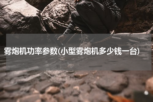 雾炮机功率参数(小型雾炮机多少钱一台)
