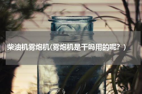 柴油机雾炮机(雾炮机是干吗用的呢？)