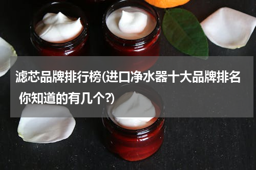 滤芯品牌排行榜(进口净水器十大品牌排名 你知道的有几个?)