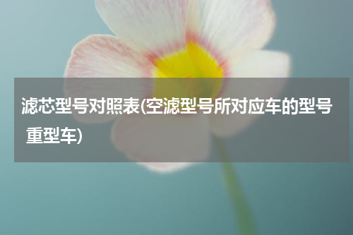 滤芯型号对照表(空滤型号所对应车的型号 重型车)