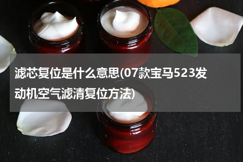 滤芯复位是什么意思(07款宝马523发动机空气滤清复位方法)