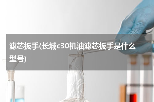 滤芯扳手(长城c30机油滤芯扳手是什么型号)