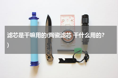 滤芯是干嘛用的(陶瓷滤芯 干什么用的？)