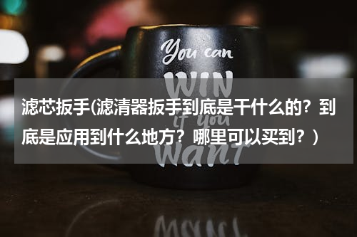 滤芯扳手(滤清器扳手到底是干什么的？到底是应用到什么地方？哪里可以买到？)