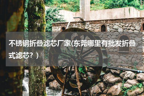 不锈钢折叠滤芯厂家(东莞哪里有批发折叠式滤芯？)