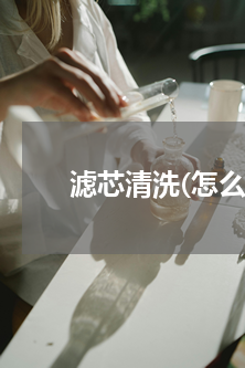滤芯清洗(怎么冲洗净水器滤芯)