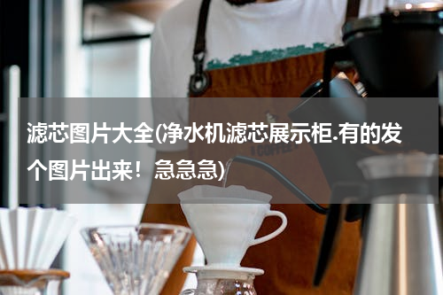 滤芯图片大全(净水机滤芯展示柜.有的发个图片出来！急急急)