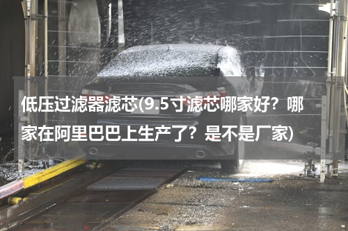 低压过滤器滤芯(9.5寸滤芯哪家好？哪家在阿里巴巴上生产了？是不是厂家)