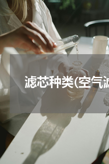 滤芯种类(空气滤清器的主要分类)