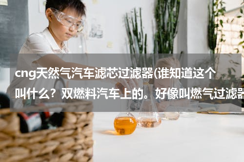 cng天然气汽车滤芯过滤器(谁知道这个叫什么？双燃料汽车上的。好像叫燃气过滤器，到底叫什么，淘宝上有没有卖的？)