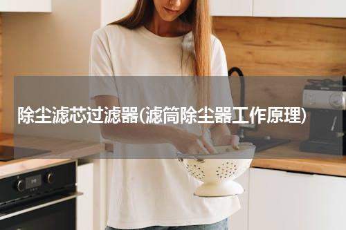 除尘滤芯过滤器(滤筒除尘器工作原理)