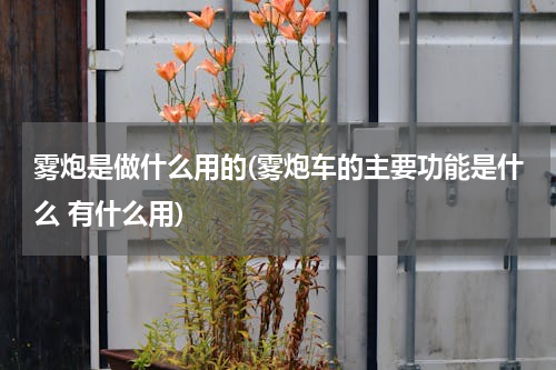 雾炮是做什么用的(雾炮车的主要功能是什么 有什么用)