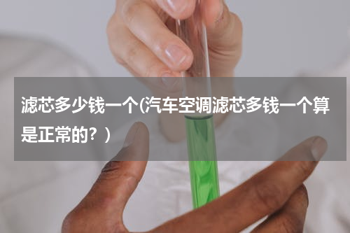 滤芯多少钱一个(汽车空调滤芯多钱一个算是正常的？)