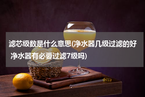 滤芯级数是什么意思(净水器几级过滤的好 净水器有必要过滤7级吗)