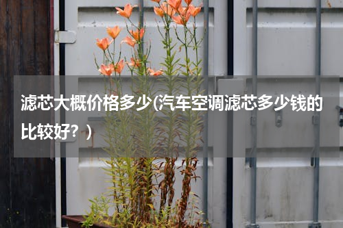 滤芯大概价格多少(汽车空调滤芯多少钱的比较好？)