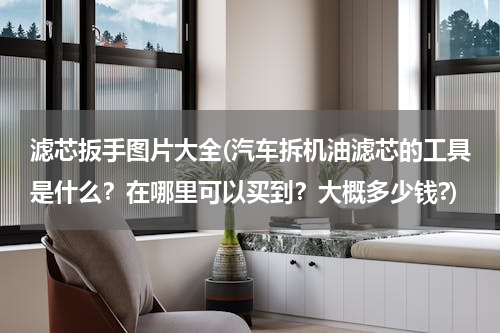 滤芯扳手图片大全(汽车拆机油滤芯的工具是什么？在哪里可以买到？大概多少钱?)