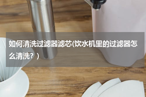 如何清洗过滤器滤芯(饮水机里的过滤器怎么清洗？)