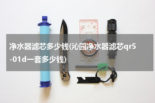 净水器滤芯多少钱(沁园净水器滤芯qr5-01d一套多少钱)