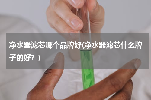 净水器滤芯哪个品牌好(净水器滤芯什么牌子的好？)