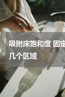 吸附床饱和度 固定床吸附中,床层可分为几个区域