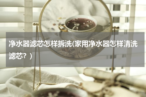净水器滤芯怎样拆洗(家用净水器怎样清洗滤芯？)