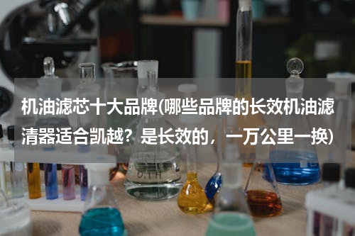 机油滤芯十大品牌(哪些品牌的长效机油滤清器适合凯越？是长效的，一万公里一换)