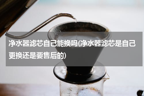 净水器滤芯自己能换吗(净水器滤芯是自己更换还是要售后的)