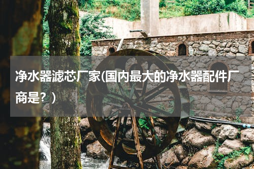 净水器滤芯厂家(国内最大的净水器配件厂商是？)