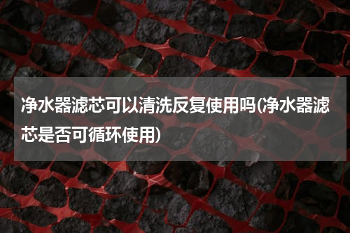 净水器滤芯可以清洗反复使用吗(净水器滤芯是否可循环使用)