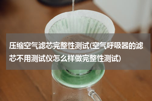 压缩空气滤芯完整性测试(空气呼吸器的滤芯不用测试仪怎么样做完整性测试)
