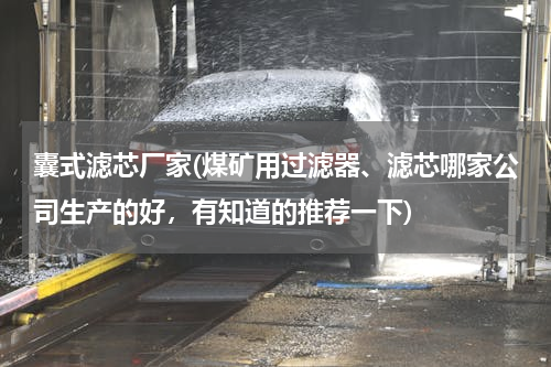 囊式滤芯厂家(煤矿用过滤器、滤芯哪家公司生产的好，有知道的推荐一下)