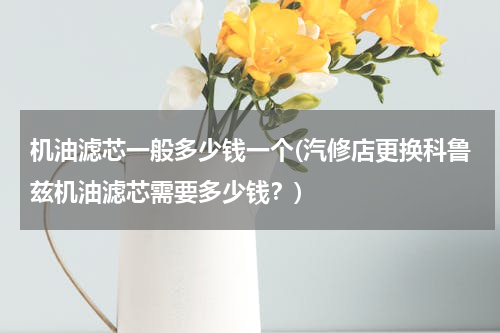 机油滤芯一般多少钱一个(汽修店更换科鲁兹机油滤芯需要多少钱？)