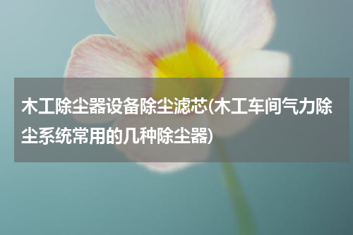木工除尘器设备除尘滤芯(木工车间气力除尘系统常用的几种除尘器)