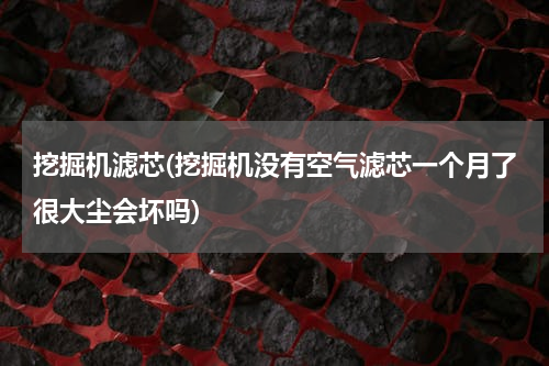 挖掘机滤芯(挖掘机没有空气滤芯一个月了很大尘会坏吗)